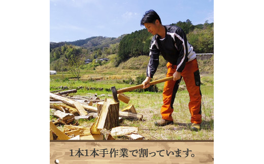 四万十の薪 1年乾燥 カシ他(約20kg)×1箱／Bnm-24