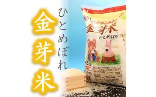 【無洗米】金芽米ひとめぼれ4.5kg  令和6年産 おこめ ごはん ブランド米 精米 白米