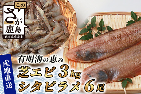 【ANA限定】冷凍芝エビ（真エビ）3kg（500g×6パック）＆有明海産 シタビラメ約150g×6尾【有明海の恵】簡単調理 セット