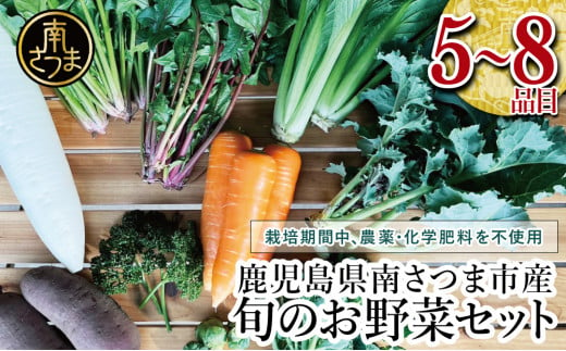 
【鹿児島県南さつま市産】福元農園 旬のお野菜 おまかせセット 1箱（5～8品目） 野菜 詰め合わせ 数量限定 鹿児島 南さつま市
