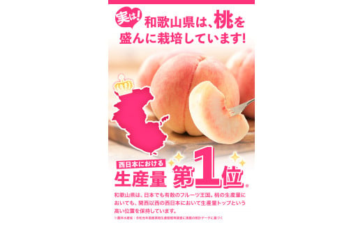 桃もも和歌山県産約2kg《2024物フルーツお取り寄せ桃 桃 桃 桃 年6月中旬-8月中旬頃出荷》---wfn_cwlocal37_q68_23_12000_2kg---｜紀の里の桃6～8玉入り旬の桃