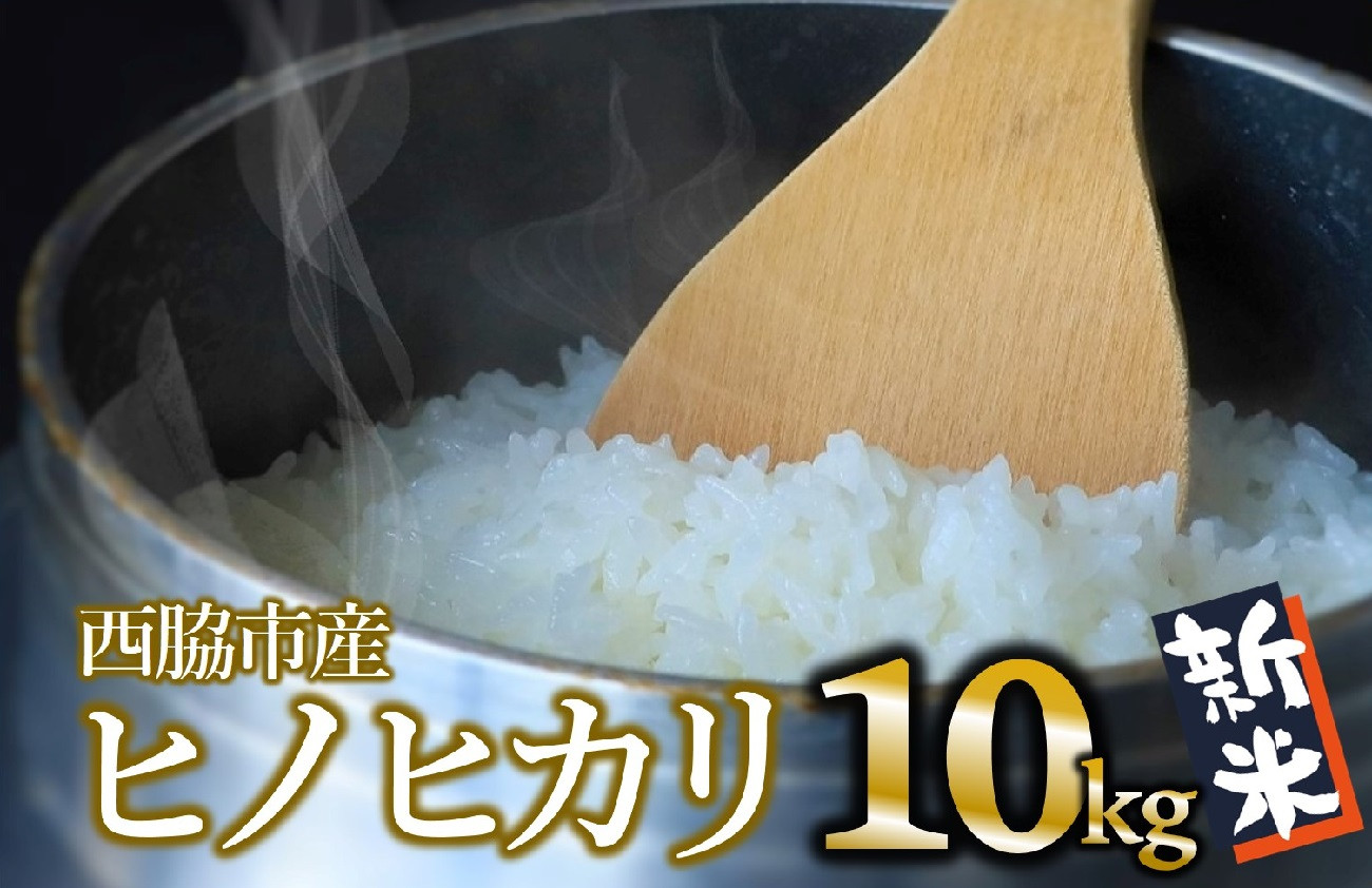 
            【ヒノヒカリ】令和６年産 新米 白米10kg（10kg×1袋）(17-52) 米 お米 こめ コメ ヒノヒカリ ひのひかり 人気 白米 兵庫県産 10kg 精米
          