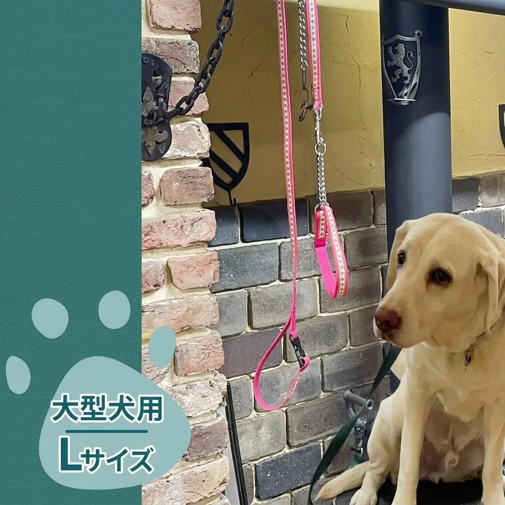 【大型犬用・Lサイズ】 ハーフチョークカラーとリードのセット（オレンジに落ち着いた緑） ペット用品 首輪 リード 大型犬 レトリバー ペット 犬 ワンちゃん セット 浜松市