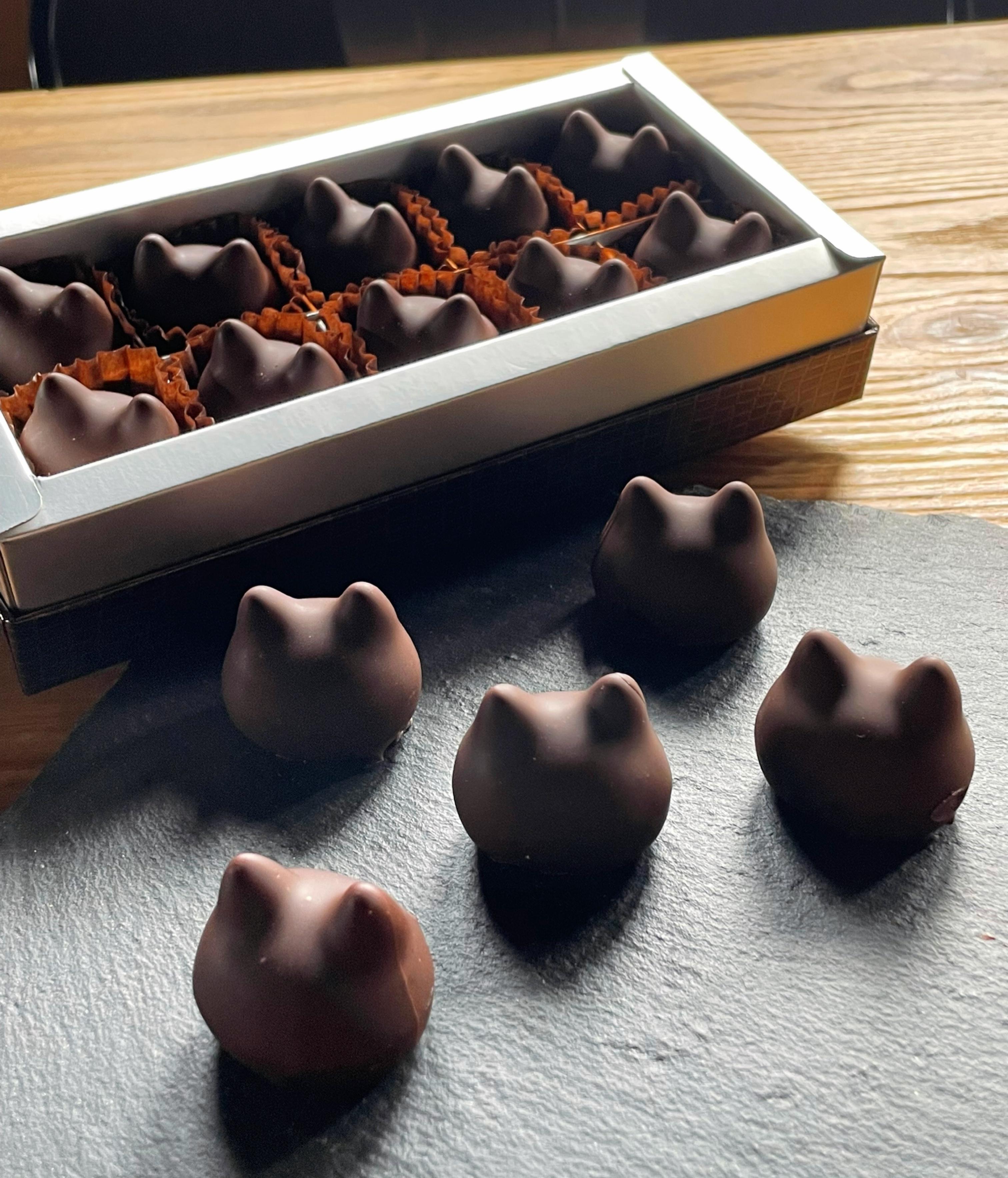 しょこら亭 猫チョコ（jomon）10個入り 1Z34019