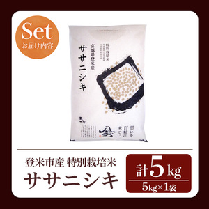 ＜先行予約！2025年10月以降順次発送予定＞≪令和7年産 新米≫ 特別栽培米 ササニシキ 5kg (5kg×1袋)  登米市産 お米 おこめ 米 コメ ささにしき 白米 ご飯 ごはん おにぎり お弁