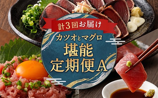 
                  【 定期便 3回 】マグロ と カツオ の 堪能定期便 A | 海鮮 鮪 鰹 ネギトロ 刺身 海産物 魚介類 鮪 まぐろたたき 魚 海鮮 冷凍 タカシン 定期便 海鮮定期便 人気定期便 ランキング お楽しみ ふるさと納税 定期便 美味しい 惣菜 お取り寄せ おさしみ 天然本マグロ 藁焼きかつおのたたき 本場 2万円 20000円 以下 海鮮 定期便 海鮮 定期便 魚貝定期便 頒布会 高知県 室戸市
                