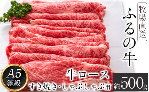 ふるの牛（黒毛和牛）ロースすき焼き・しゃぶしゃぶ用 500g A5 有限会社ふるの《30日以内に出荷予定(土日祝除く)》---skr_ffrnrosu_30d_21_30600_500g---