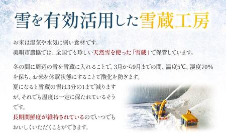 【12か月定期便】 おぼろづき 5kg ×12回 雪蔵工房 幻の米  【令和5年産】