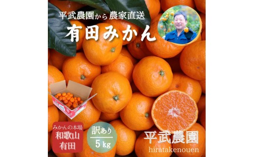 
                  農家直送！有田みかん（5kg 訳あり≪サイズ混合≫） 平武農園　～蛍飛ぶ町から旬の便り～
                