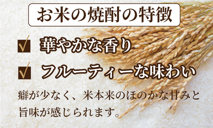 七田 米焼酎 ＆ 吟醸酒粕 焼酎 飲み比べ 2本セット(720ml X 2本) 天山酒造 日本酒蔵元 米焼酎