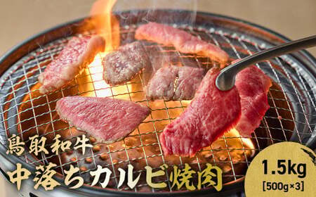 鳥取和牛 中落ちカルビ焼肉 1.5kg ( 500g × 3 ) 牛肉 和牛 鳥取和牛 ブランド和牛 焼肉 焼肉用 焼き肉 焼き肉用 和牛カルビ 中落ちカルビ 焼肉カルビ 黒毛和牛 KR1489