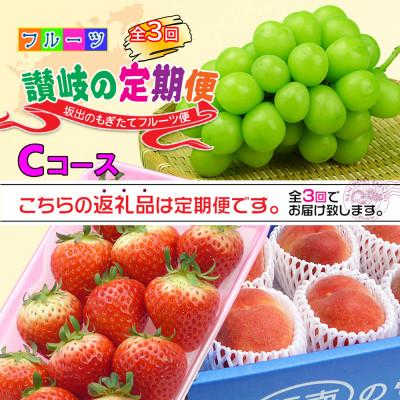 ふるさと納税 坂出市 【発送月固定定期便】創業100年の老舗が選んだ讃岐のフルーツの定期便【Cコース3回】全3回