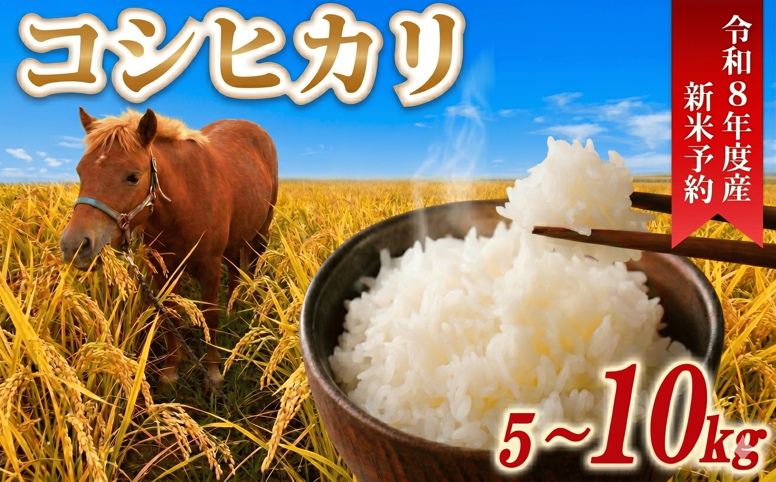 
                  令和8年産 新米 米 コシヒカリ 5kg ～ 10kg 先行予約 精米 白米 新米5kg 新米10kg 2026年度 8年産 お米 ご飯 こめ コメ kome ライス こしひかり 10000円 20000円 2026年 備蓄 防災 お弁当 産地直送 送料無料 国産 千葉県産 ふるさと納税 千葉県 旭市 小島農園 kjm
                
