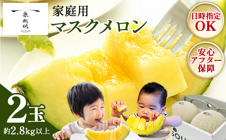 一果相伝マスクメロン家庭用 2玉入り フルーツ メロン 果物 デザート tn-0025