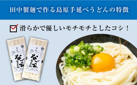 【田中製麺】 島原 手延べ うどん なごみ 5束×2袋(500g) コシが強い 細麺 乾麺 / 南島原市 / 贅沢宝庫[SDZ010]