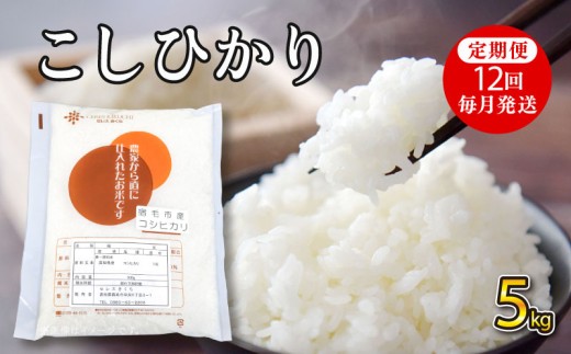 令和8年産コシヒカリ 5kg  定期便12回(毎月発送) セレスきくち