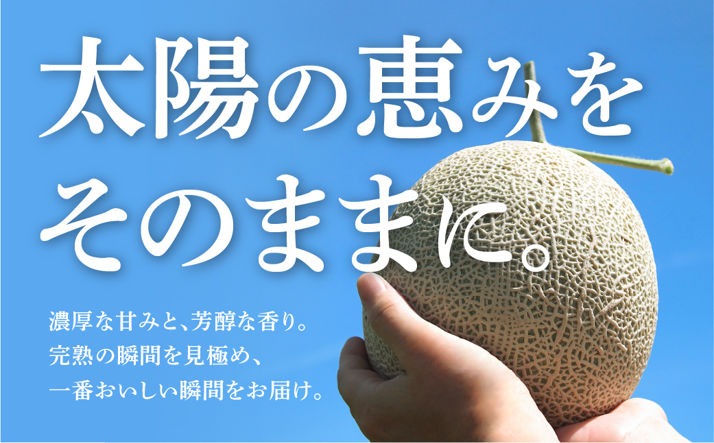 ≪先行予約≫温室マスクメロン 2玉【贈答】めろん メロン マスクメロン 果物 フルーツ デザート 旬 旬の果物 高糖度 糖度 愛知県 豊橋市