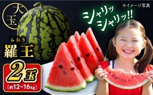 スイカ 【先行予約：2026年7月上旬より配送】  羅王スイカ 2玉（約12kg～16kg） すいか ＜ファームまるだ＞ [CDT006] 長崎 西海 すいか suika 甘い 大玉 旬 ギフト プレゼント フルーツ 夏 スイカ すいか 西瓜 長崎県 西海市 お取り寄せスイカ 羅王 甘い 夏 果 物 フルーツ すいか 大玉スイカ ごほうび 贈答 スイカ 西瓜 野菜 新鮮 すいか 産地直送 おやつ
