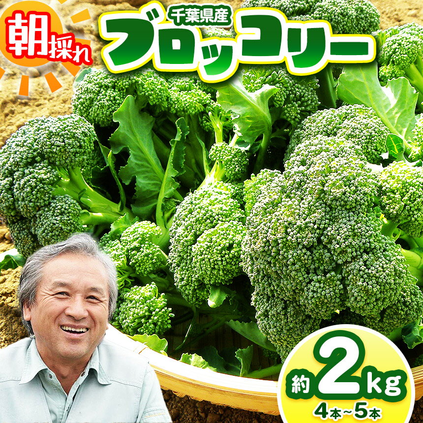 【ふるさと納税】にがり農法 ブロッコリー 約2kg 約4～5本 | 鈴木アル・ファーム ブロッコリー にがり農法 国産 新鮮 詰め合わせ 産地直送 栄養たっぷり 野菜 旬 鈴木アルファーム 新鮮 朝採り イチオシ 千葉 君津 きみつ