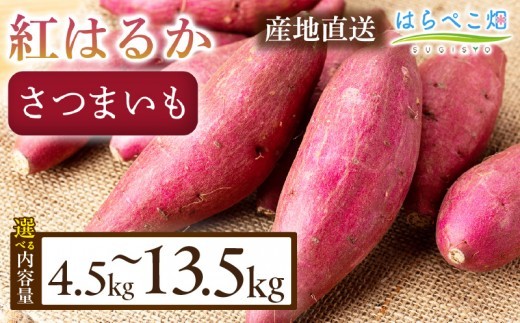 《選べる容量》【ねっとり甘い蜜芋】さつまいも 紅はるか（4.5kg/箱）・H102-SKU