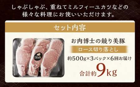 【全6回定期便】長崎県産「競り美豚」ロース 切り落とし 1.5kg ／ 競美豚 競り美豚 ロース 切り落とし 切落し きりおとし 肉 お肉 豚肉 豚 国産 しゃぶしゃぶ 肉のマルシン 長崎県 長崎市