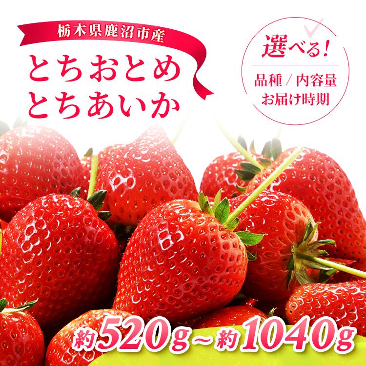 【ふるさと納税】【先行予約】【選べる品種・内容量・発送時期】とちあいか とちおとめ | いちご 果物 フルーツ 苺 イチゴ くだもの 朝取り 新鮮 美味しい 甘い 先行受付