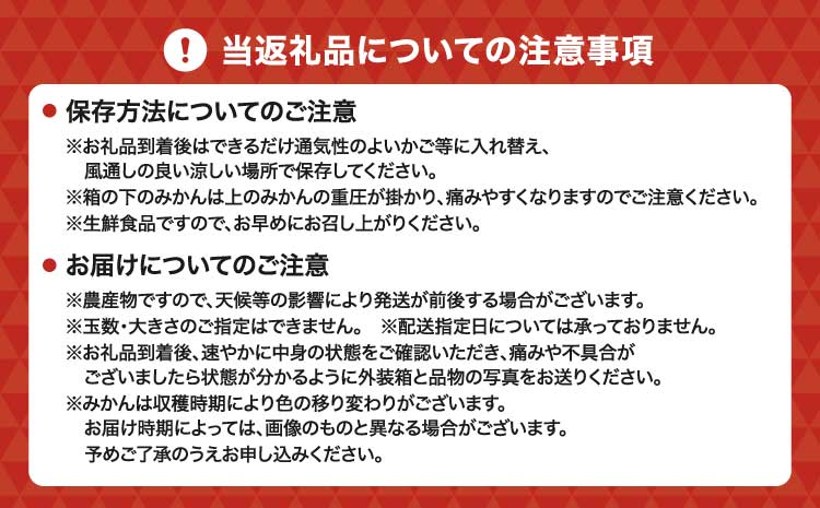 先行予約 ポンカン 約4kg (20玉前後) 【2027年1月上旬から2月上旬発送予定】フルーツ 果物 くだもの 熊本県産 九州産 国産 送料無料 ひでみかん