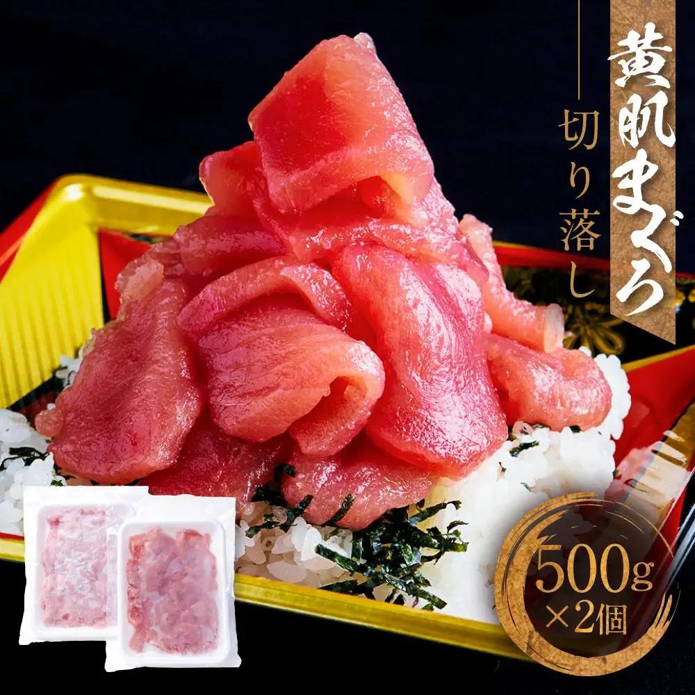 天然　黄肌まぐろ切り落し1kg (500g×2パック)　小分け パック  静岡県 御前崎    訳あり  マグロ 鮪 便利 刺身 食べやすい スライス 天然 赤身 新鮮 海鮮丼 寿司 魚 魚介類 海鮮