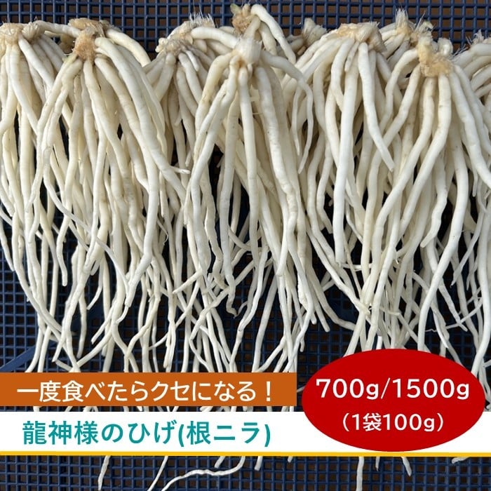 
            期間限定[2026年3月20日まで受付] 根ニラ[龍神様のひげ] 全2種 700g[100g×7袋]/1,500g[100g×15袋]/ すわファーム 根ニラ ニラ 野菜 香味野菜 根菜 高原野菜 信州 長野県 諏訪市 諏訪 [91-0102]
          