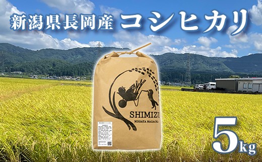 
            N5-051B新潟県長岡産コシヒカリ5kg
          