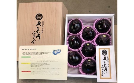先行予約 丸ナス 約3kg [6月上旬から発送予定] 令和7年度 灰汁が少なく甘味がある丸ナス なす 茄子 野菜 新潟県 三条市産  [さとうファーム] 【010S017】