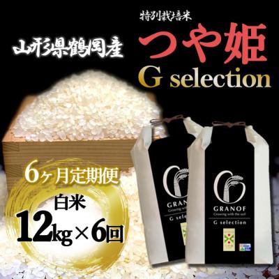 ふるさと納税 鶴岡市 【毎月定期便】山形県産 つや姫 Gセレクション 白米 12kg全6回