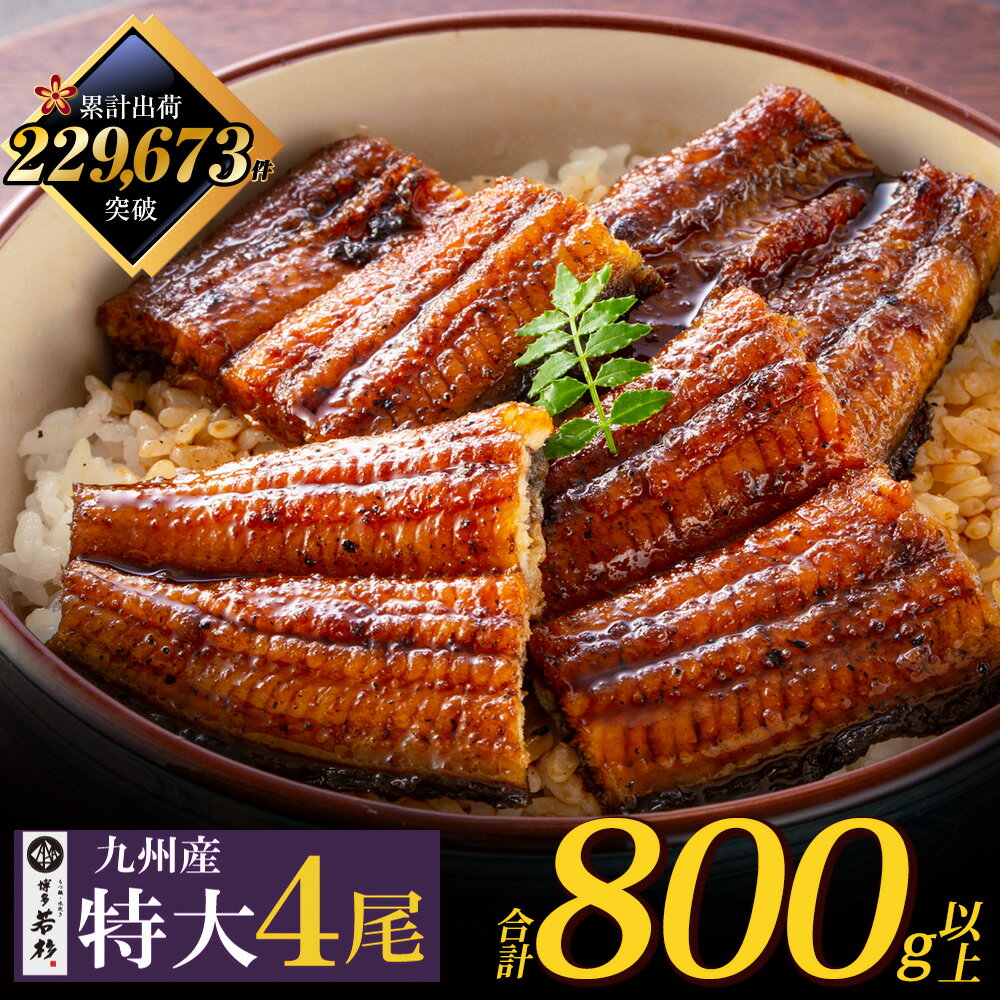国産うなぎ蒲焼特大4尾（800g以上）タレ・山椒付
