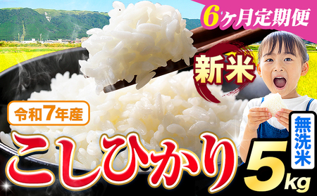 【6ヶ月定期便】令和7年産 新米 こしひかり 5kg 定期便《お申込み月の翌月から出荷開始》熊本県産 ふるさと納税 無洗米 精米 ひの 米 こめ ふるさとのうぜい コシヒカリ コメ お米 おこめ