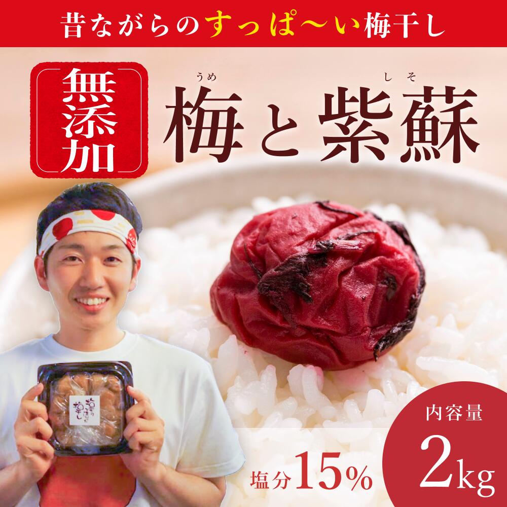 【最大3ヶ月待ち】【ふるさと納税】【無添加梅干し】塩と紫蘇だけで漬けた梅干し1kg×2パック/ 南高梅