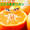 【ふるさと納税】＜先行予約＞牛が育てる！コクうまポンカン Lサイズ＜5kg＞ 国産 東洋町産 訳アリ ぽんかん オレンジ 果物 フルーツ 甘い 酸味 コク 完熟 無農薬栽培 高知 四国 お取り寄せ 家庭用 自宅用 送料無料 産地直送 果汁 ジューシー 蜜柑 ミカン 牛 K-02