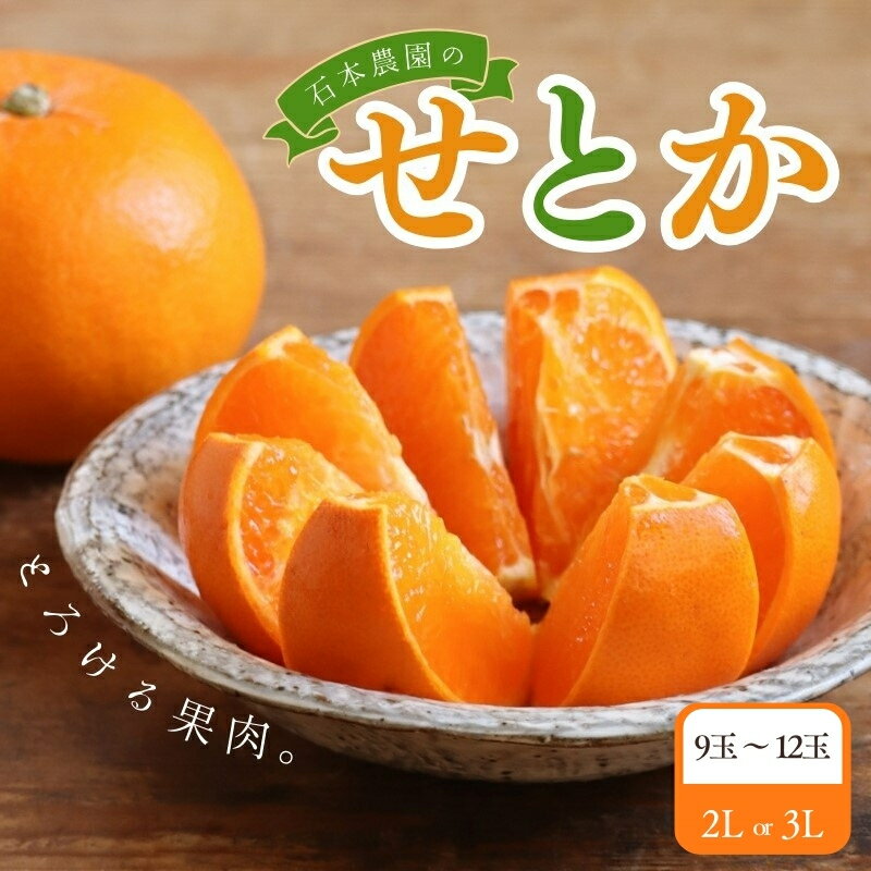 【ふるさと納税】 【先行予約】2Lか3L 9玉～12玉 石本農園のハウスせとか【2027年2月中旬から下旬頃に順次発送予定】 みかん ミカン 蜜柑 柑橘 果物 くだもの フルーツ 予約 人気 ジューシー 甘い 産地直送 送料無料 せとか