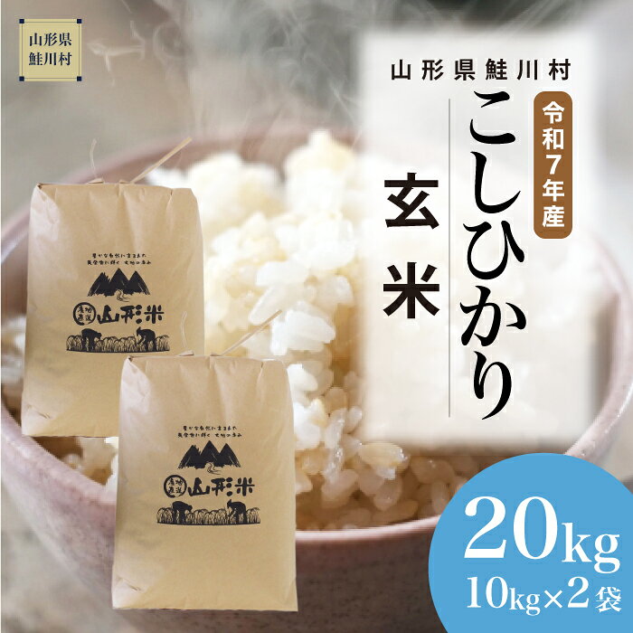 【ふるさと納税】＜令和7年産米＞ 鮭川村 コシヒカリ 【玄米】 20kg （10kg×2袋）＜配送時期選べます＞