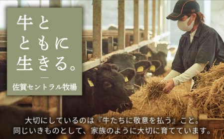 【牧場直送】【12回定期便】佐賀県産しろいし牛 万能切落し 1000g 【有限会社佐賀セントラル牧場】[IAH135]