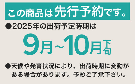 【2024年 先行予約】 産地直送 朝採れ！ 山梨県産 シャインマスカット ２房 (1.2kg以上！) |  山梨 ぶどう ブドウ 葡萄 シャイン 都留市人気返礼品！