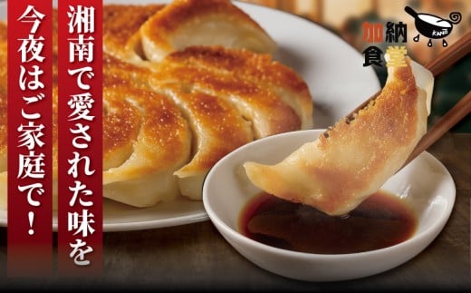 ぎょうざ 餃子  150個 肉汁 旨い パック 豚肉 ぶた 野菜 焼き餃子 水餃子  国産豚  豚肉 野菜 ギョーザ gyouza 冷凍餃子 ぶたにく 生餃子 冷凍 ご飯 おかず 夕食 おつまみ 晩酌