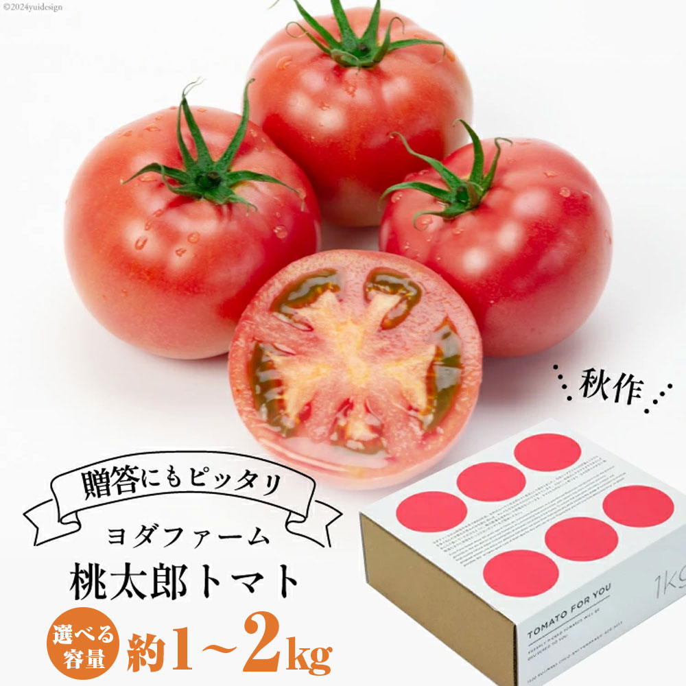 【ふるさと納税】【2025年発送】秋作 トマト 桃太郎 約1kg [ヨダファーム 山梨県 中央市 21470962] とまと tomato 野菜 やさい 1キロ 季節限定 期間限定 産地直送 山梨県産