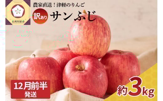 【2025年12月前半発送】 訳あり りんご サンふじ 約 3kg 青森 果物 【 訳アリ リンゴ 林檎 ふじ さんふじ 】