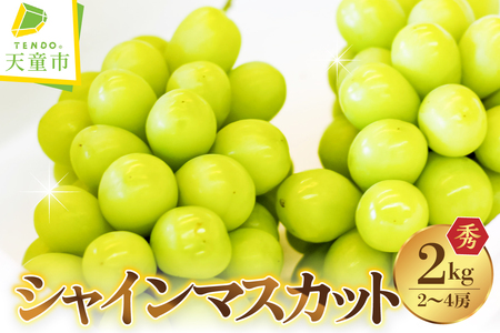 ぶどう ( シャインマスカット ) 2kg フルーツ 果物 山形