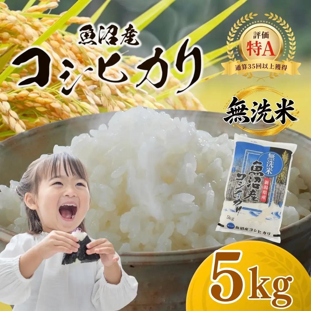 魚沼産コシヒカリ 無洗米 5kg 新潟県 | おこめ 5キロ×1袋 特A評価 無洗