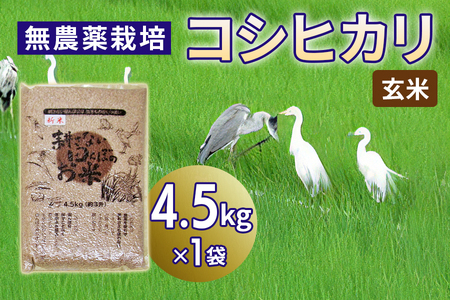 【新米】無農薬栽培 コシヒカリ 玄米 4.5kg [0346]