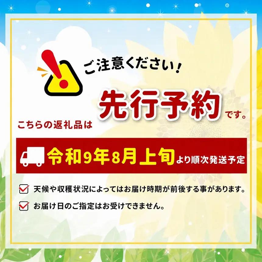 【2027先行予約】 長野県産 桃 なつっこ 約3kg 【2027年8月上旬～順次発送予定】| 丸中中根園