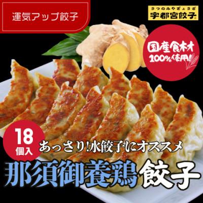 ふるさと納税 宇都宮市 宇都宮餃子 運気アップ餃子　那須御養鶏の餃子18個　保存料不使用