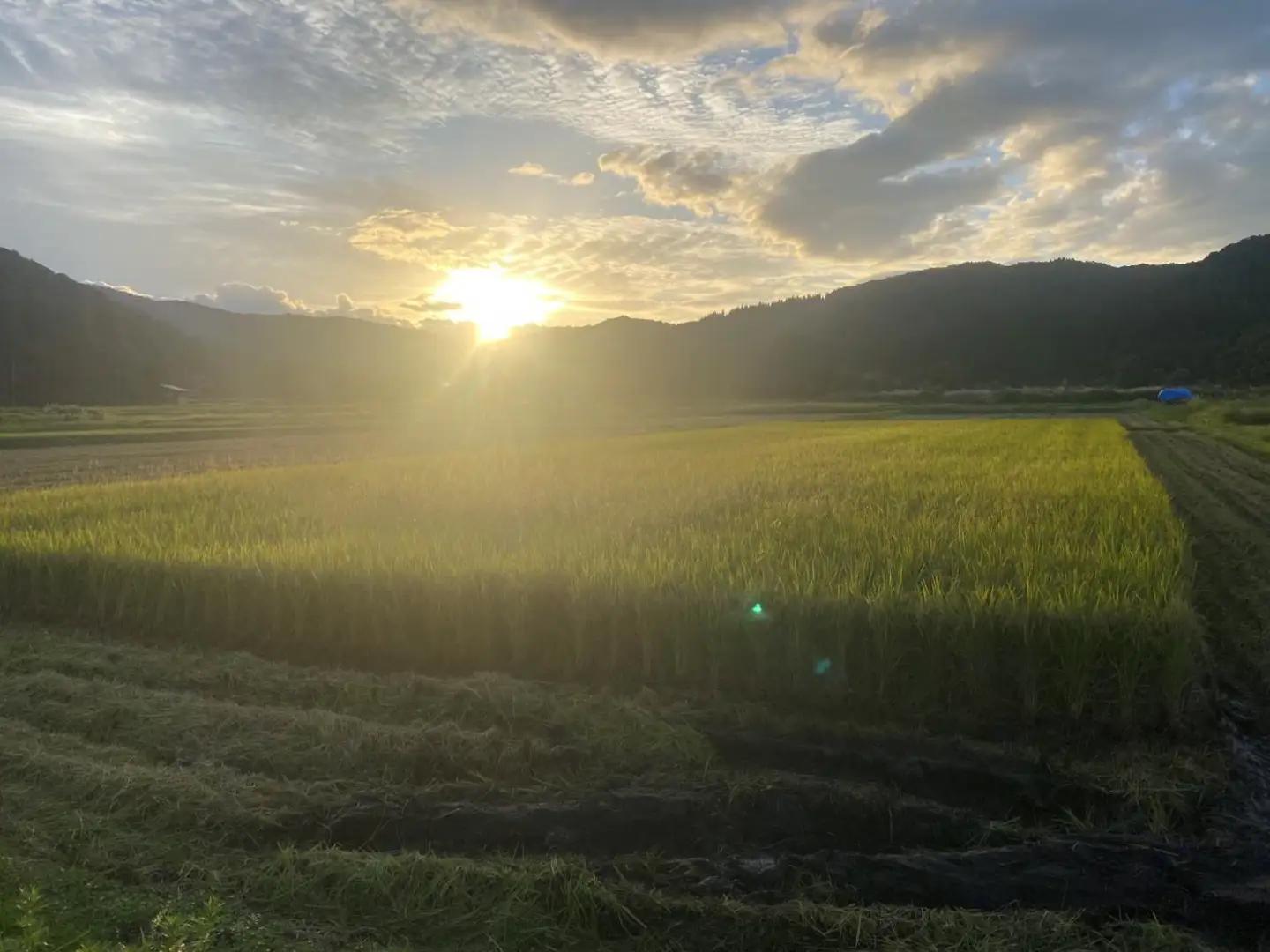 【令和８年産 新米】山形県小国町産　雪若丸5kg　きせつ家