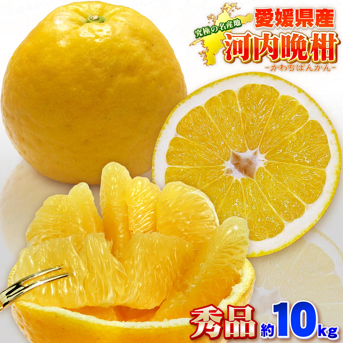 贈答用 河内晩柑 10kg L～2L サイズ 中井屋 愛媛みかん 先行予約 晩柑 かわちばんかん 和製 グレープフルーツ 愛媛ミカン 愛媛蜜柑 愛媛県産みかん 蜜柑 みかん mikan 爽やか 宇和島